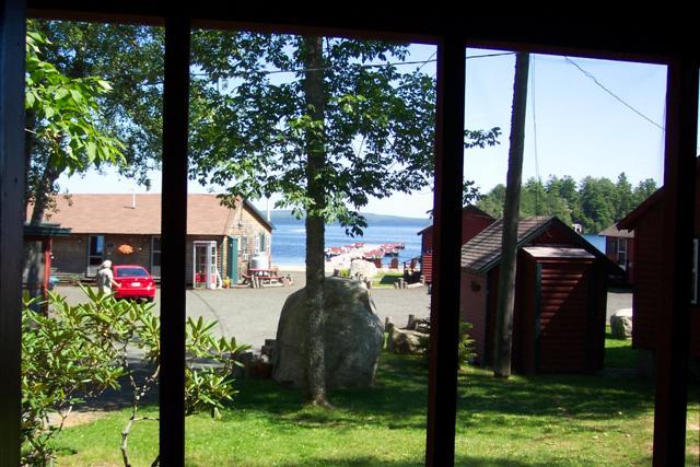 cabin 142 view